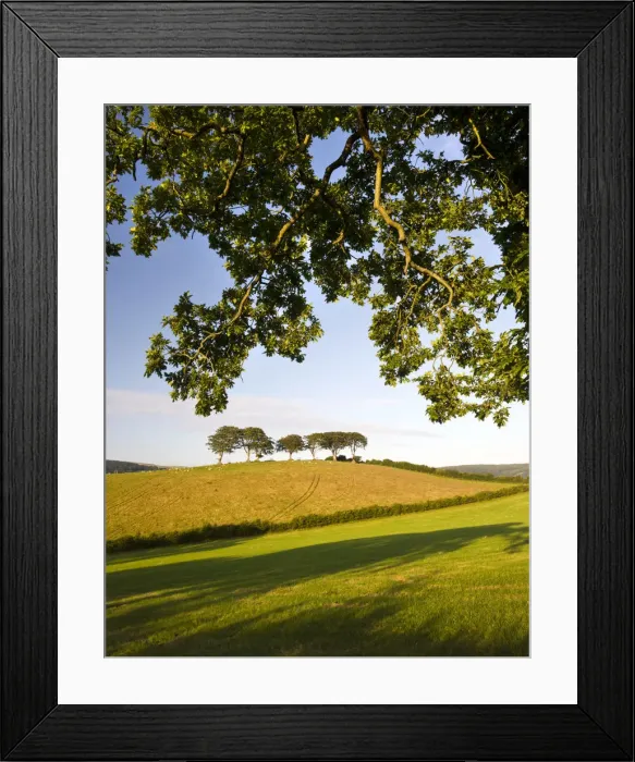 Framed Print : Summertime Exmoor countryside scenes between the villages of Horner and Luccombe Framed Print : Summertime Exmoor countryside scenes between the villages of Horner and Luccombe
