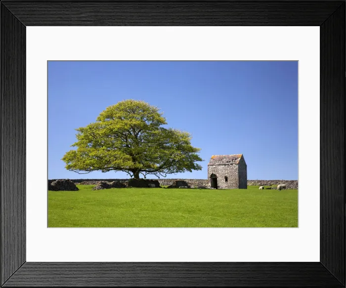 Framed Print : Oak Tree & Stone Barn, Tideswell, Peak District National Park, Derbyshire, England Framed Print : Oak Tree & Stone Barn, Tideswell, Peak District National Park, Derbyshire, England