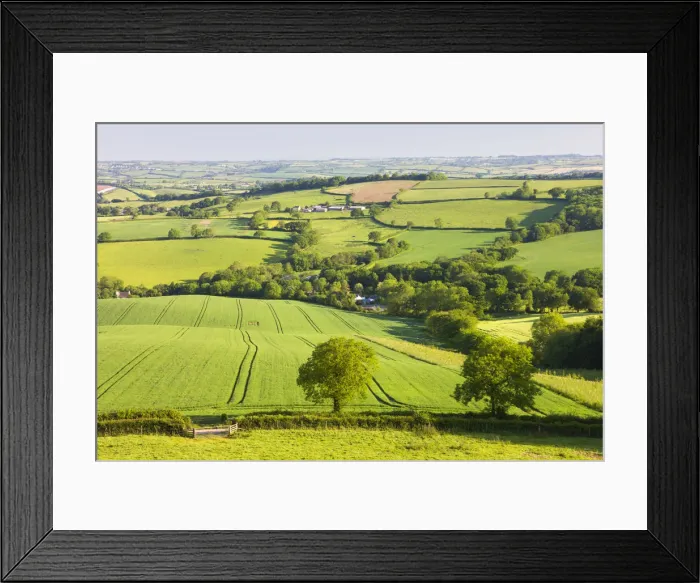 Framed Print : Rolling farmland near Stockleigh Pomeroy, Devon, England. Summer (June) 2009 Framed Print : Rolling farmland near Stockleigh Pomeroy, Devon, England. Summer (June) 2009