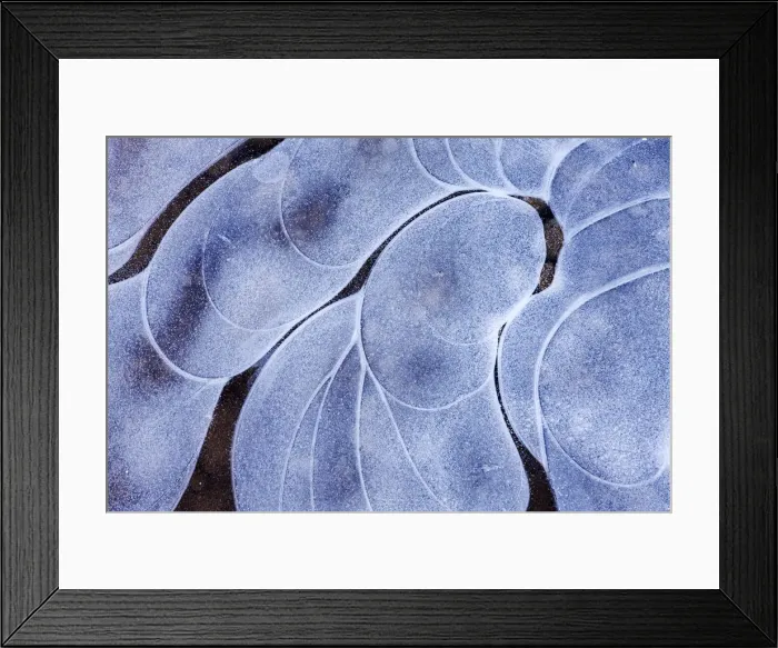 Framed Print : Ice patterns in a Dartmoor pond, Dartmoor National Park, Devon, England Framed Print : Ice patterns in a Dartmoor pond, Dartmoor National Park, Devon, England