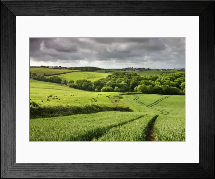 Framed Print : Farmland in summertime, Morchard Bishop, Devon, England. Summer (June) 2009