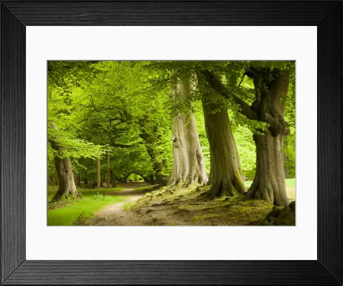 Framed Print : England Framed Print : England