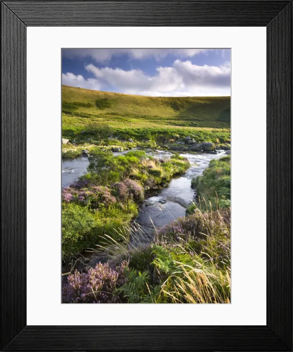 Framed Print : River Tavy running throughTavy Cleave in Dartmoor National Park, Devon, England. Summer Framed Print : River Tavy running throughTavy Cleave in Dartmoor National Park, Devon, England. Summer
