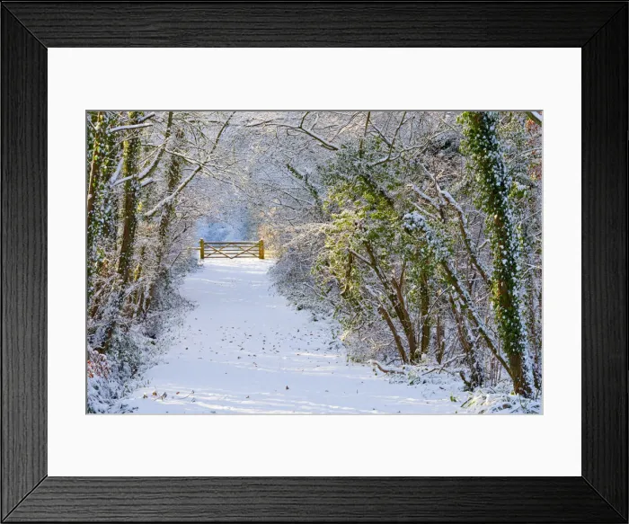 Framed Print : Gate & Country Lane in Winter, Melbury Osmond, Dorset, England Framed Print : Gate & Country Lane in Winter, Melbury Osmond, Dorset, England