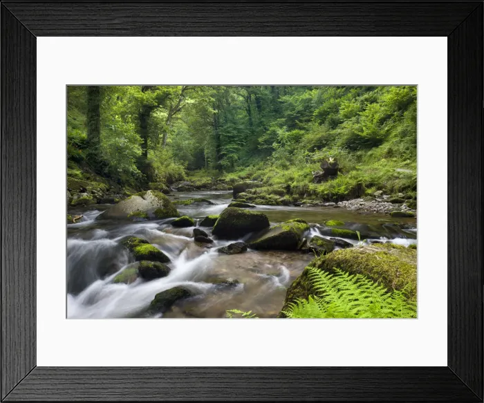 Framed Print : East Lyn River at Watersmeet, Exmoor National Park, Devon, England. Summer (August) 2009 Framed Print : East Lyn River at Watersmeet, Exmoor National Park, Devon, England. Summer (August) 2009