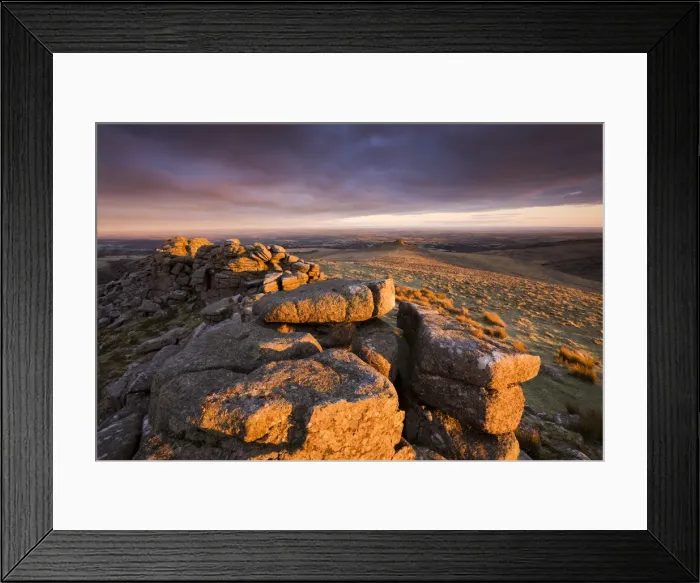 Framed Print : The first rays of early morning sunlight bathe Higher Tor in a rich glow, Belstone Common Framed Print : The first rays of early morning sunlight bathe Higher Tor in a rich glow, Belstone Common