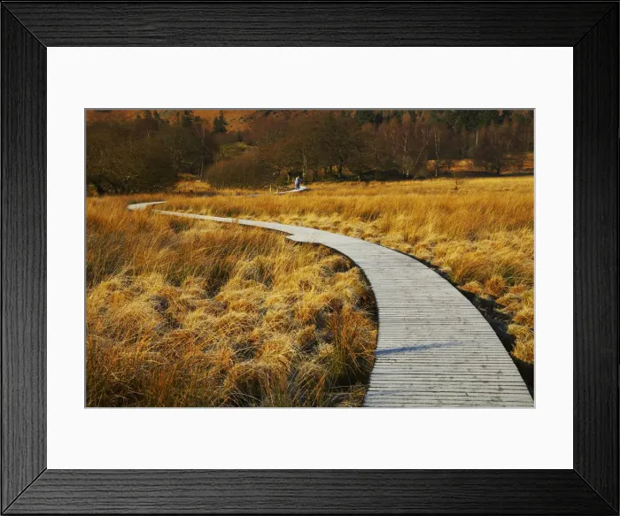 Framed Print : Boardwalk Through Meadow, Borrowdale, Lake District National Park, Cumbria, England Framed Print : Boardwalk Through Meadow, Borrowdale, Lake District National Park, Cumbria, England