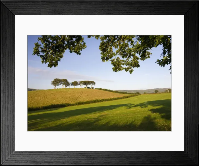 Framed Print : Summertime Exmoor countryside scenes between the villages of Horner and Luccombe Framed Print : Summertime Exmoor countryside scenes between the villages of Horner and Luccombe
