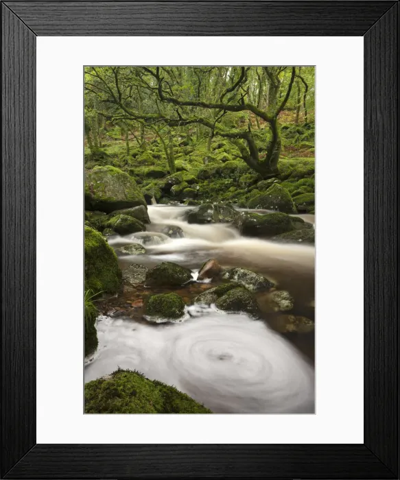 Framed Print : River Plym flowing through Dewerstone Wood, Shaugh Prior, Dartmoor, Devon, England Framed Print : River Plym flowing through Dewerstone Wood, Shaugh Prior, Dartmoor, Devon, England