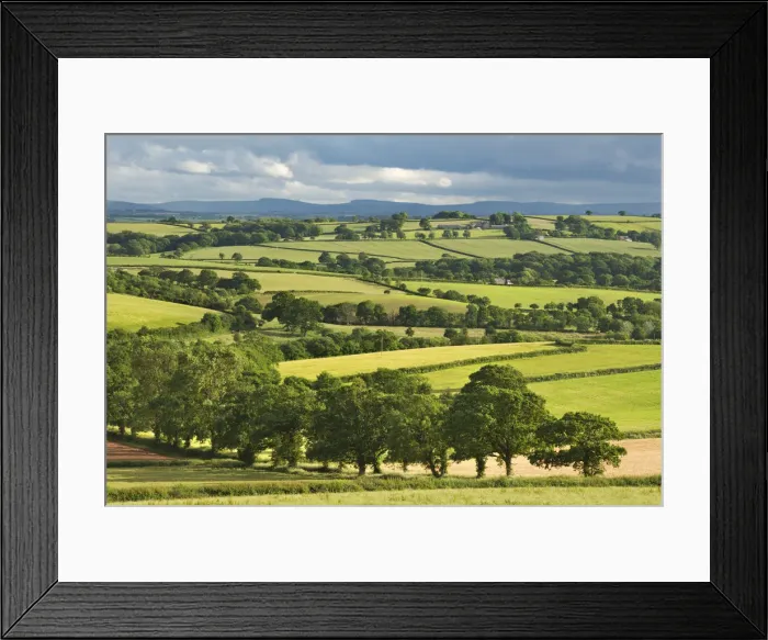 Framed Print : Rolling farmland in summer time, Morchard Bishop, Devon, England. Summer (June) Framed Print : Rolling farmland in summer time, Morchard Bishop, Devon, England. Summer (June)