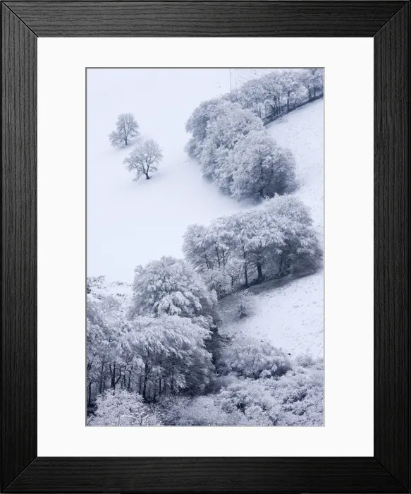 Framed Print : Trees in snow at the Punchbowl, Exmoor National Park, Somerset, England. Winter Framed Print : Trees in snow at the Punchbowl, Exmoor National Park, Somerset, England. Winter