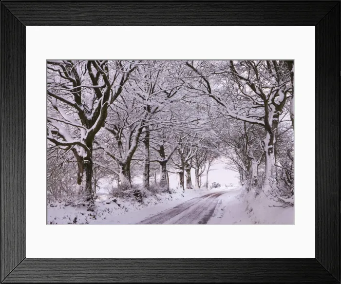 Framed Print : Tree lined country lane laden with snow, Exmoor, Somerset, England. Winter Framed Print : Tree lined country lane laden with snow, Exmoor, Somerset, England. Winter