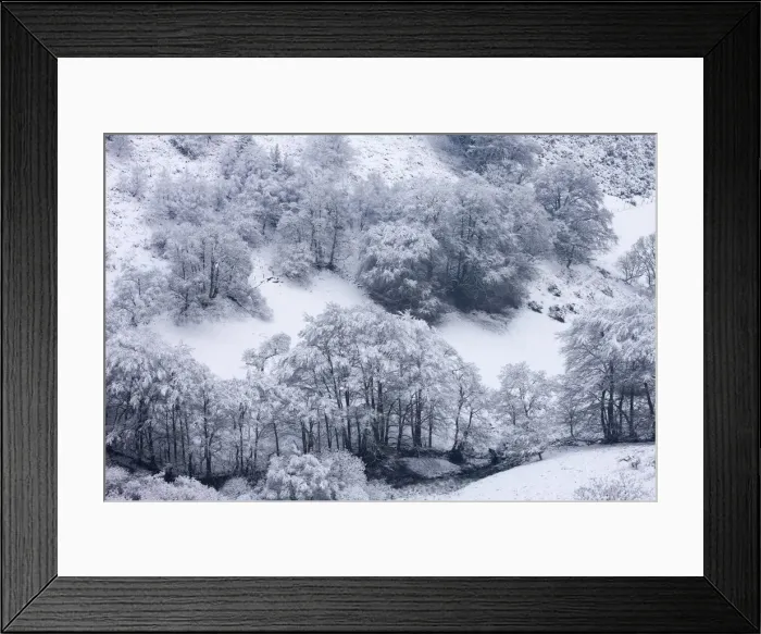 Framed Print : Snow covered trees in The Punchbowl, Exmoor, Somerset, England. Winter Framed Print : Snow covered trees in The Punchbowl, Exmoor, Somerset, England. Winter