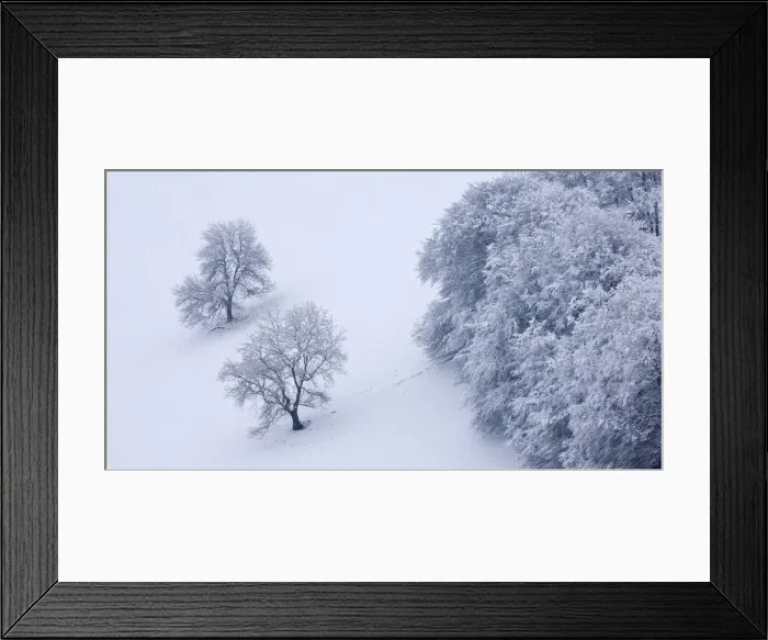 Framed Print : Snow covered trees in The Punchbowl, Exmoor, Somerset, England. Winter Framed Print : Snow covered trees in The Punchbowl, Exmoor, Somerset, England. Winter