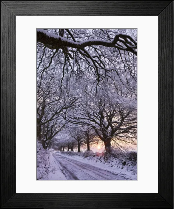 Framed Print : Tree lined country lane in winter snow, Exmoor, Somerset, England. Winter Framed Print : Tree lined country lane in winter snow, Exmoor, Somerset, England. Winter