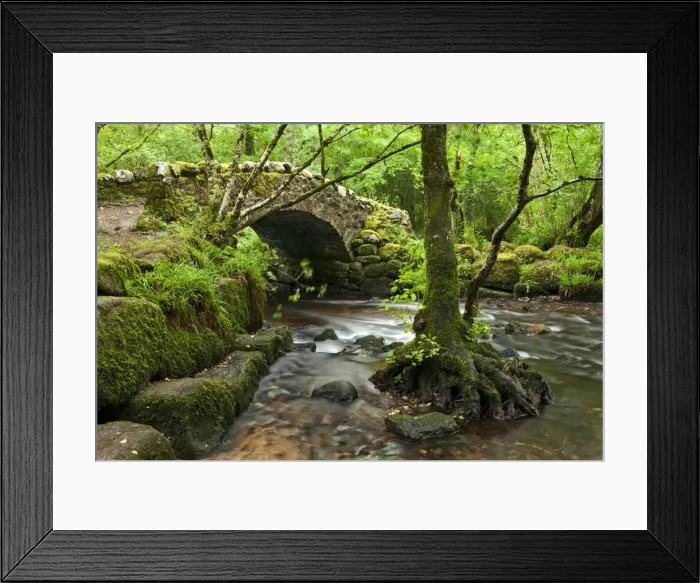 Framed Print : Medieval Hisley Bridge spanning the River Bovey in Hisley Wood, Dartmoor, Devon, England Framed Print : Medieval Hisley Bridge spanning the River Bovey in Hisley Wood, Dartmoor, Devon, England