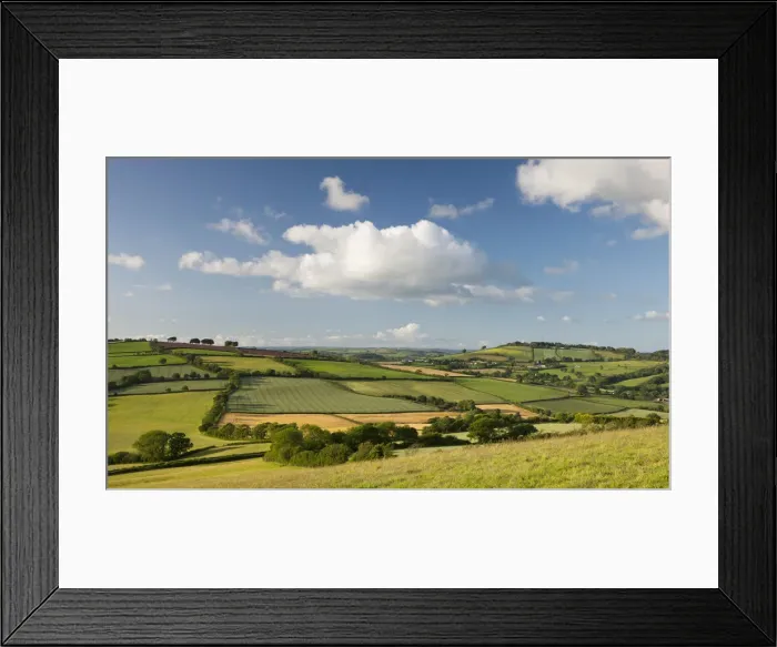 Framed Print : Rolling summer countryside near Stockleigh Pomeroy, Devon, England. Summer Framed Print : Rolling summer countryside near Stockleigh Pomeroy, Devon, England. Summer