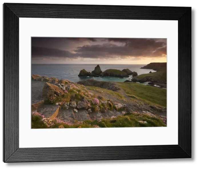 Framed Print : Coast path leading down to Kynance Cove, The Lizard, Cornwall, England. Spring