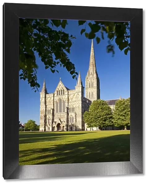 The West Front of Salisbury Cathedral from Cathedral Close, Salisbury, Wiltshire, England