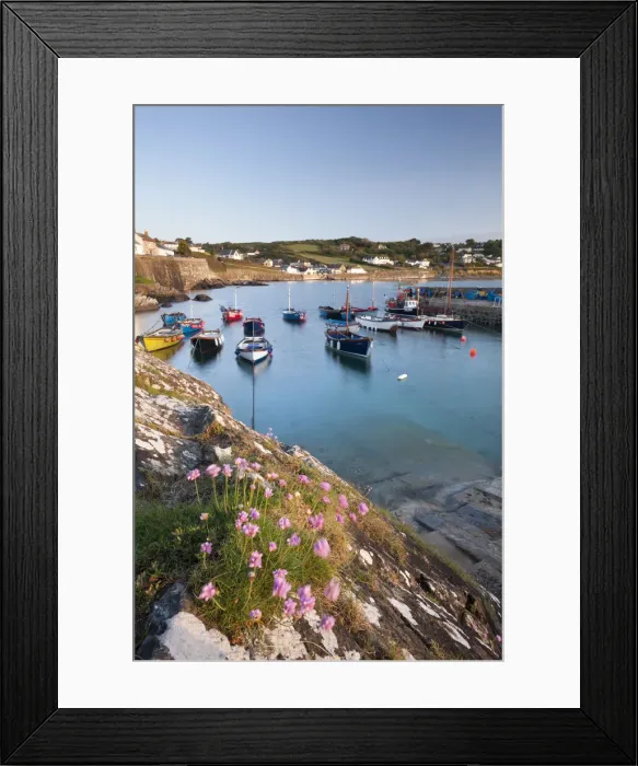 Framed Print : Early morning harbour scene at the picturesque fishing village of Coverack, South Framed Print : Early morning harbour scene at the picturesque fishing village of Coverack, South