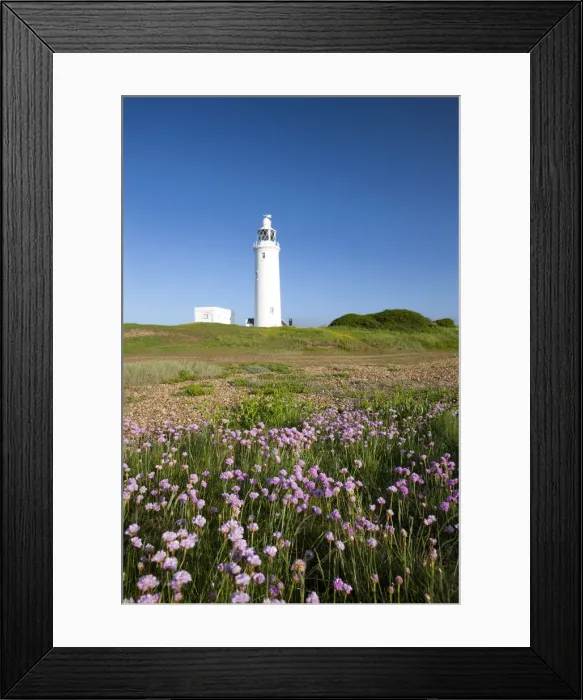 Framed Print : Wildflowers in front of Hurst Point Lighthouse, Hampshire, England. Spring Framed Print : Wildflowers in front of Hurst Point Lighthouse, Hampshire, England. Spring