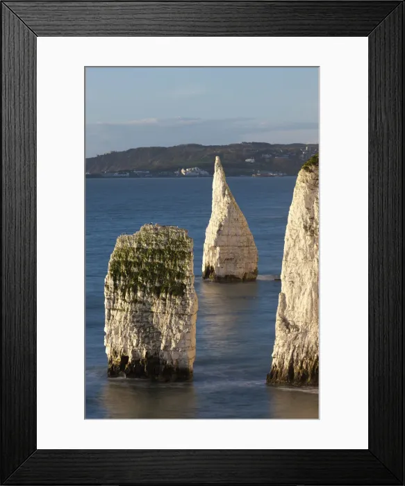 Framed Print : Parsons Barn and The Pinnacles from Handfast Point, Jurrasic Coast, Dorset Framed Print : Parsons Barn and The Pinnacles from Handfast Point, Jurrasic Coast, Dorset