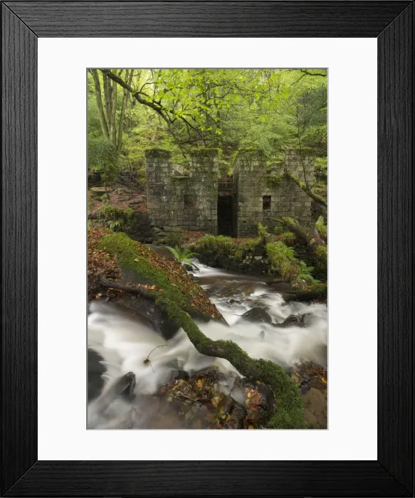 Framed Print : Abandoned 19th Century gunpowder works at Kennall Vale, now a wooded nature reserve Framed Print : Abandoned 19th Century gunpowder works at Kennall Vale, now a wooded nature reserve