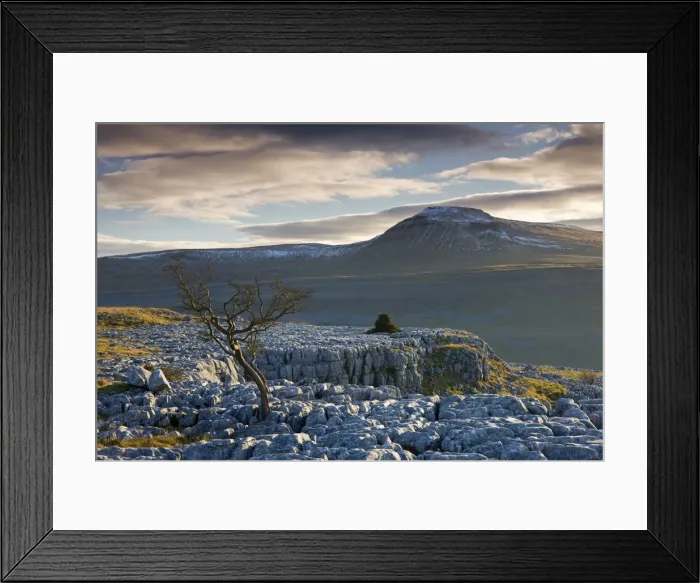 Framed Print : Snow capped Ingleborough from the limestone pavements on Twistleton Scar, Yorkshire Framed Print : Snow capped Ingleborough from the limestone pavements on Twistleton Scar, Yorkshire