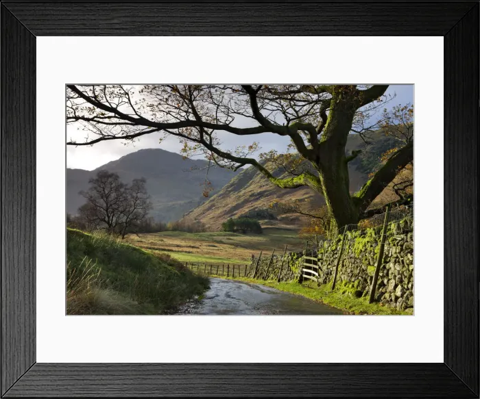 Framed Print : Country lane leading towards Blea Tarn in the Langdale Valley, Lake District National Framed Print : Country lane leading towards Blea Tarn in the Langdale Valley, Lake District National