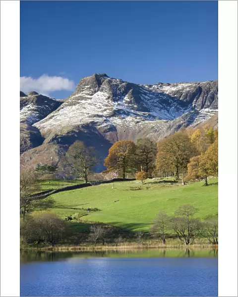 Snow dusted Langdale Pikes viewed from the shores of Loughrigg Tarn, Lake District