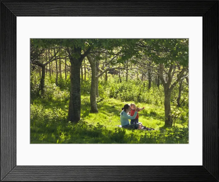 Framed Print : Young mother and inquisitive one year old toddler son in a woodland, Cutteridge Wood Framed Print : Young mother and inquisitive one year old toddler son in a woodland, Cutteridge Wood