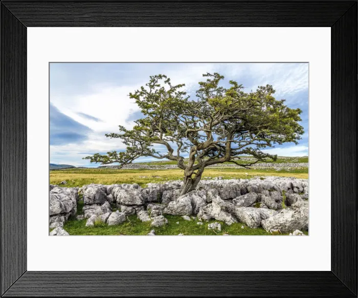 Framed Print : Europe, United Kingdom, England, North Yorkshire, Ingleton, Twistleton Scars Framed Print : Europe, United Kingdom, England, North Yorkshire, Ingleton, Twistleton Scars