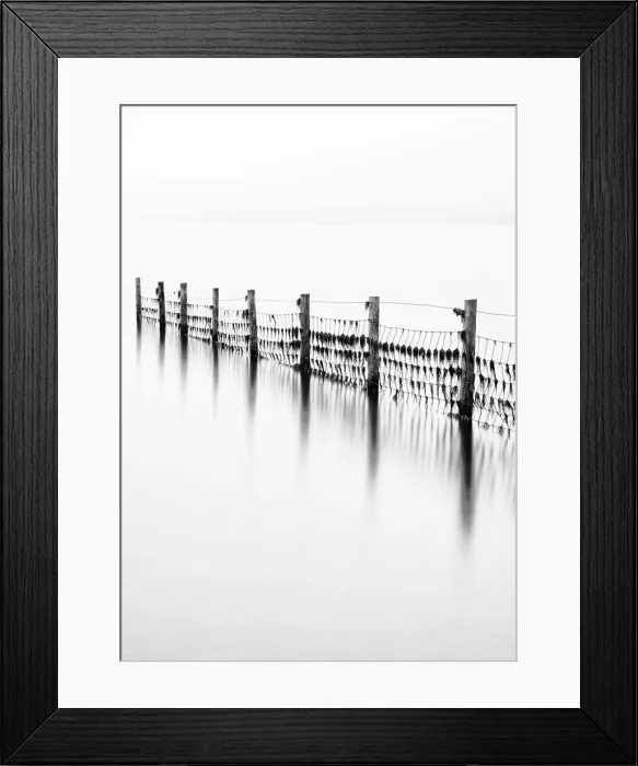 Framed Print : Remains of the old fence on Derwentwater, Cumbria, UK Framed Print : Remains of the old fence on Derwentwater, Cumbria, UK