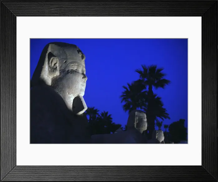 Framed Print : Sphinx avenue at Luxor Temple, Luxor, Egypt Framed Print : Sphinx avenue at Luxor Temple, Luxor, Egypt