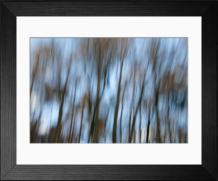 Framed Print : Trees reflected in the water, Yorkshire, UK Framed Print : Trees reflected in the water, Yorkshire, UK