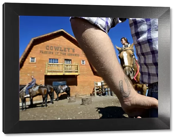 Cowboy provides guests with horses, Rafter Six Ranch, Exshaw, Calgary, Alberta, Canada
