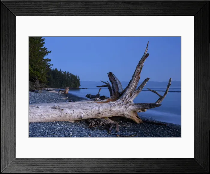 Framed Print : Canada, British Columbia, Vancouver Island, Juan DeFuca Straight, French Beach Framed Print : Canada, British Columbia, Vancouver Island, Juan DeFuca Straight, French Beach