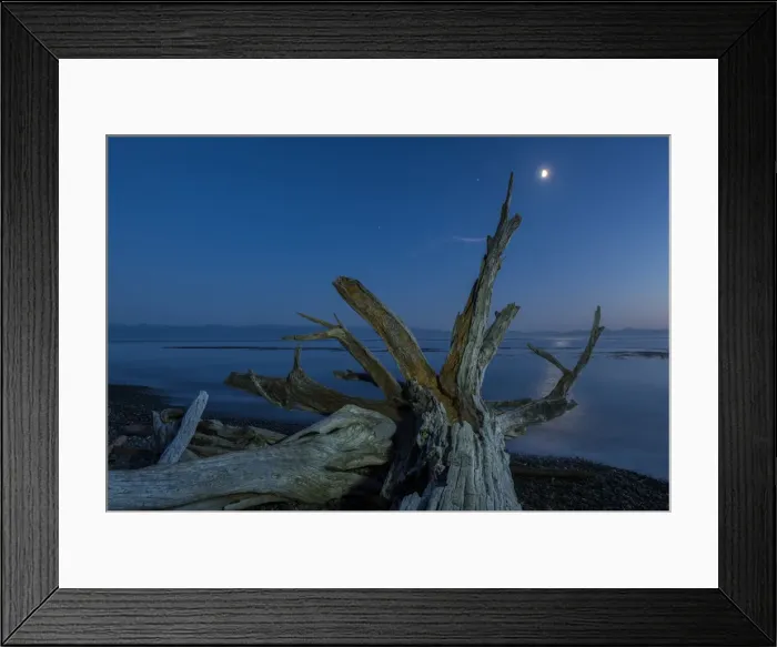 Framed Print : Canada, British Columbia, Vancouver Island, Juan DeFuca Straight, French Beach in Framed Print : Canada, British Columbia, Vancouver Island, Juan DeFuca Straight, French Beach in