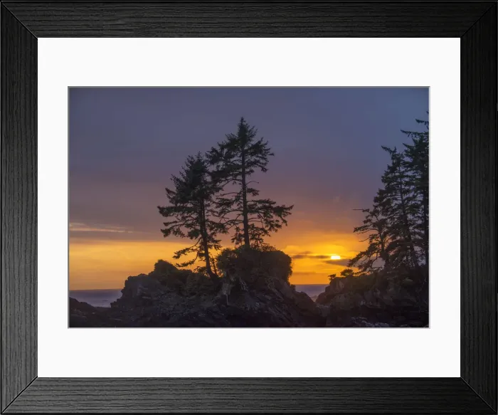 Framed Print : Canada, British Columbia, Vancouver Island, Port Renfrew, Juan deFuca Provincal Park Framed Print : Canada, British Columbia, Vancouver Island, Port Renfrew, Juan deFuca Provincal Park