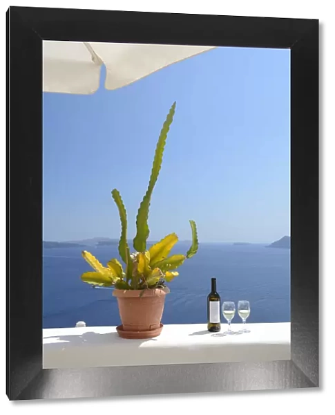 Cactus and white wine at the sea, Oia, Santorini, Kyclades, South Aegean, Greece, Europe