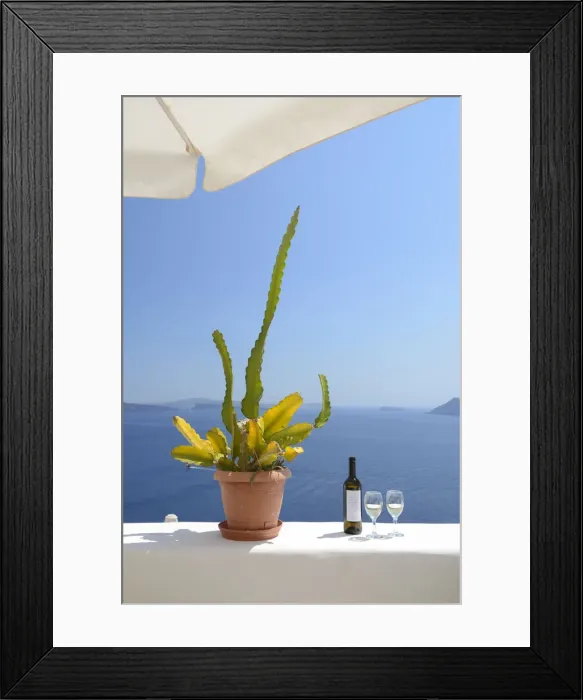 Framed Print : Cactus and white wine at the sea, Oia, Santorini, Kyclades, South Aegean, Greece, Europe Framed Print : Cactus and white wine at the sea, Oia, Santorini, Kyclades, South Aegean, Greece, Europe