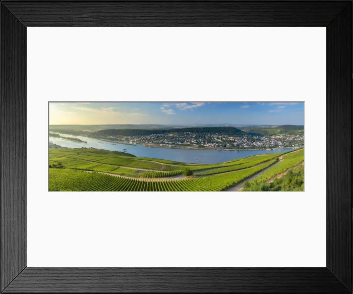 Framed Print : View of Bingen, vineyards and River Rhine, Rudesheim, Rhineland-Palatinate, Germany Framed Print : View of Bingen, vineyards and River Rhine, Rudesheim, Rhineland-Palatinate, Germany