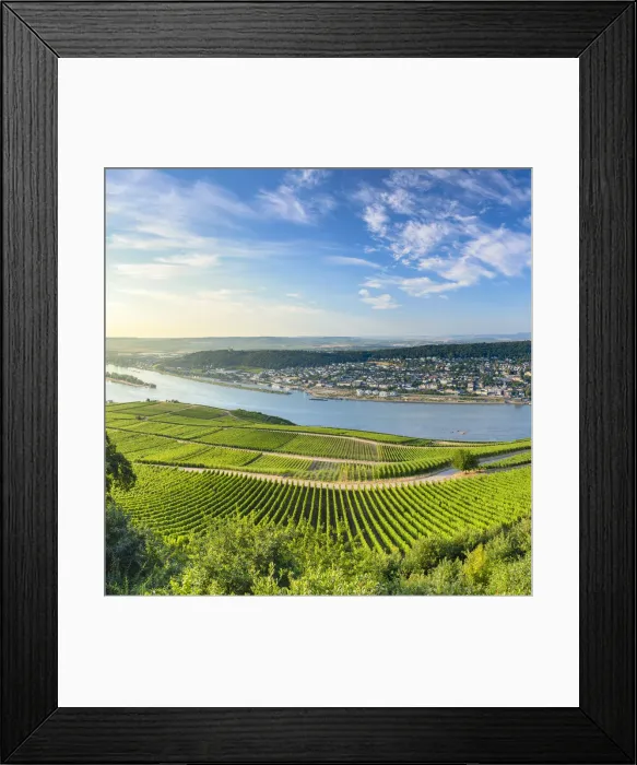 Framed Print : View of Bingen, vineyards and River Rhine, Rudesheim, Rhineland-Palatinate, Germany Framed Print : View of Bingen, vineyards and River Rhine, Rudesheim, Rhineland-Palatinate, Germany