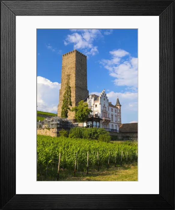 Framed Print : Vineyard and Boosemburg Castle, Rudesheim, Rhineland-Palatinate, Germany Framed Print : Vineyard and Boosemburg Castle, Rudesheim, Rhineland-Palatinate, Germany