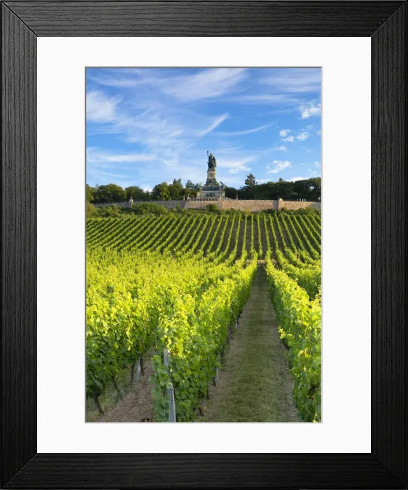 Framed Print : Vineyards and Niederwalddenkmal monument, Rudesheim, Rhineland-Palatinate, Germany Framed Print : Vineyards and Niederwalddenkmal monument, Rudesheim, Rhineland-Palatinate, Germany