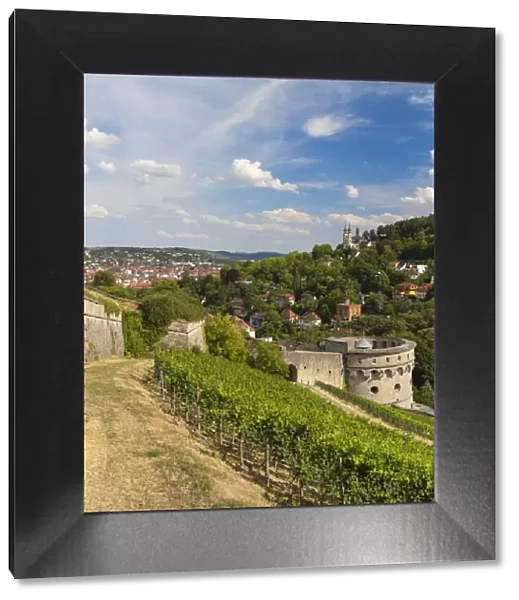 Walls of Marienberg Fortress and vineyards, Wurzburg, Bavaria, Germany