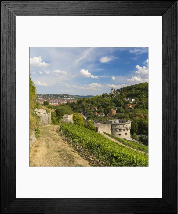 Framed Print : Walls of Marienberg Fortress and vineyards, Wurzburg, Bavaria, Germany Framed Print : Walls of Marienberg Fortress and vineyards, Wurzburg, Bavaria, Germany