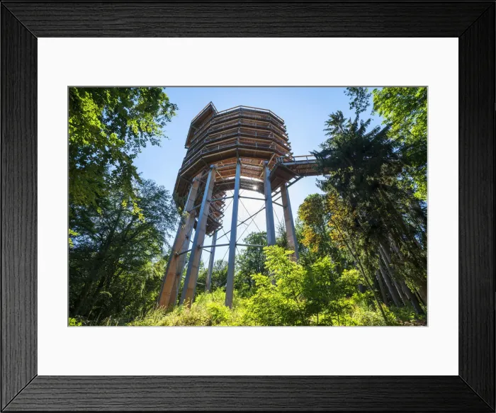 Framed Print : Baumwipfelpfad, treetop walk at the Grand Saar horseshoe bend, Orscholz, Saarland Framed Print : Baumwipfelpfad, treetop walk at the Grand Saar horseshoe bend, Orscholz, Saarland