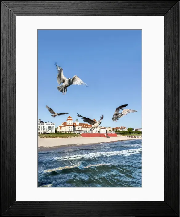 Framed Print : Seagulls and Kurhaus, Binz, RAogen Island, Mecklenburg-Western Pomerania, Germany Framed Print : Seagulls and Kurhaus, Binz, RAogen Island, Mecklenburg-Western Pomerania, Germany