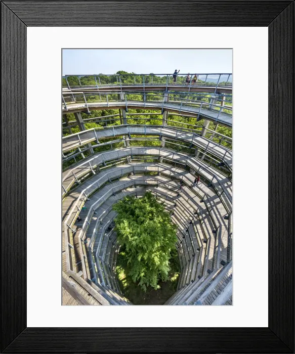 Framed Print : Tree top path, Prora, Rügen Island, Mecklenburg-Western Pomerania, Germany